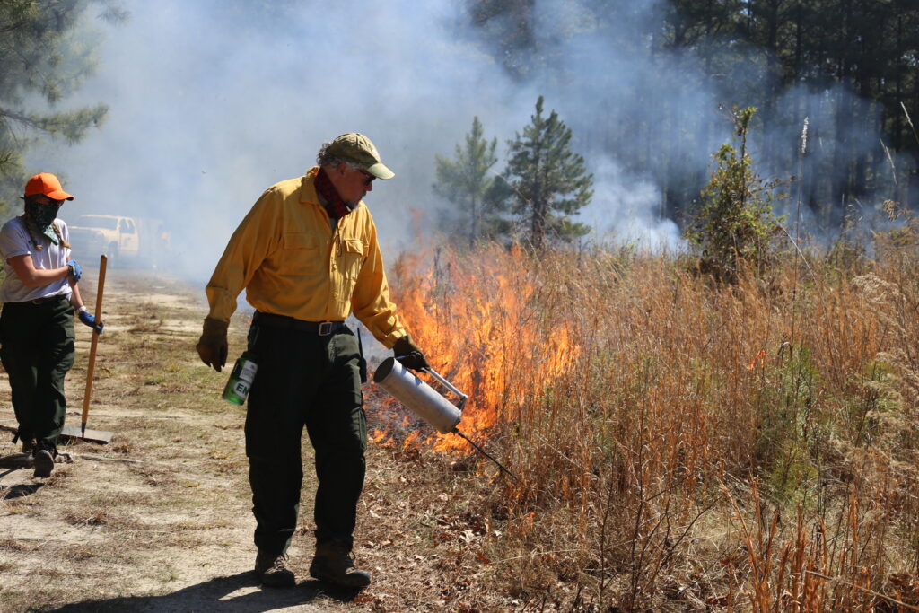 Land Management Through Prescribed Fires IMG 5666