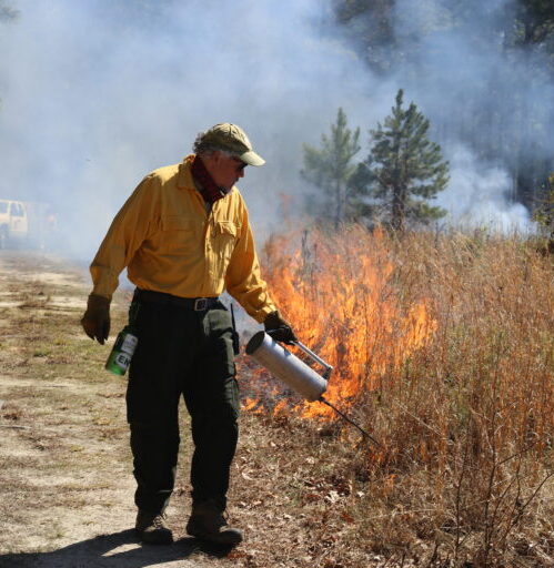 TLC staff manage a burn at Temple Flat Rock