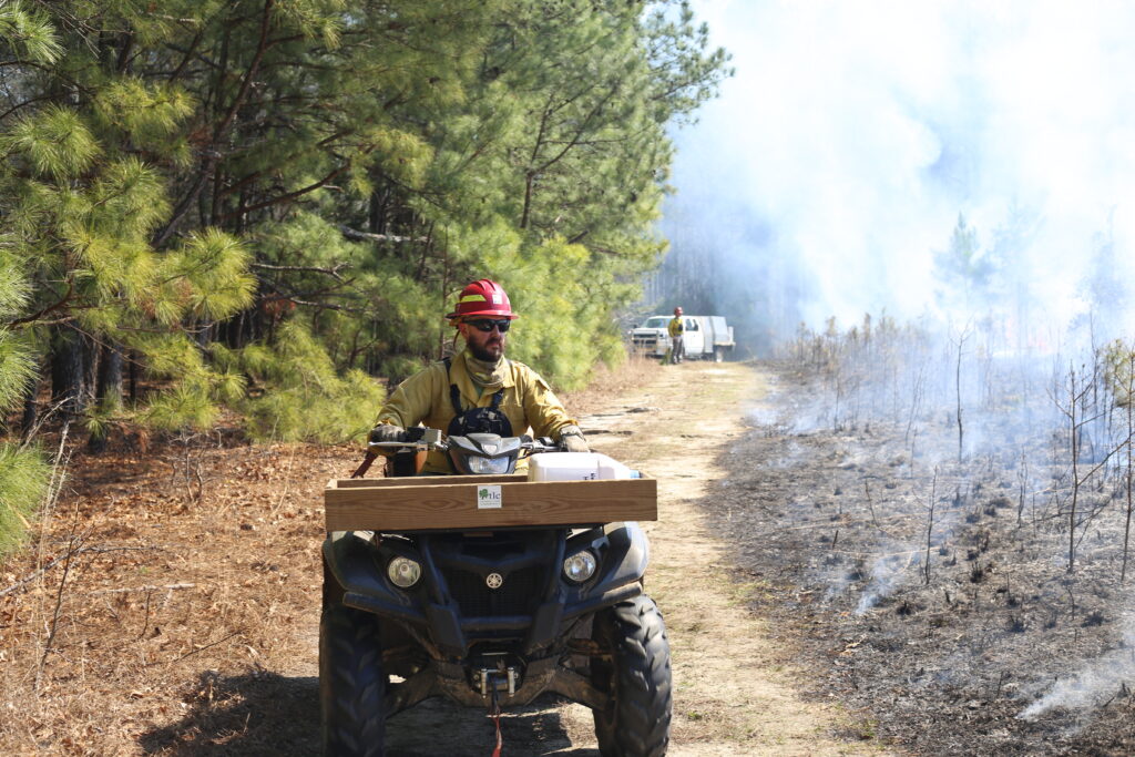 Land Management Through Prescribed Fires IMG 5671 1