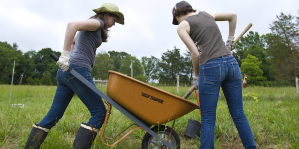 Volunteers at Irvin Farm