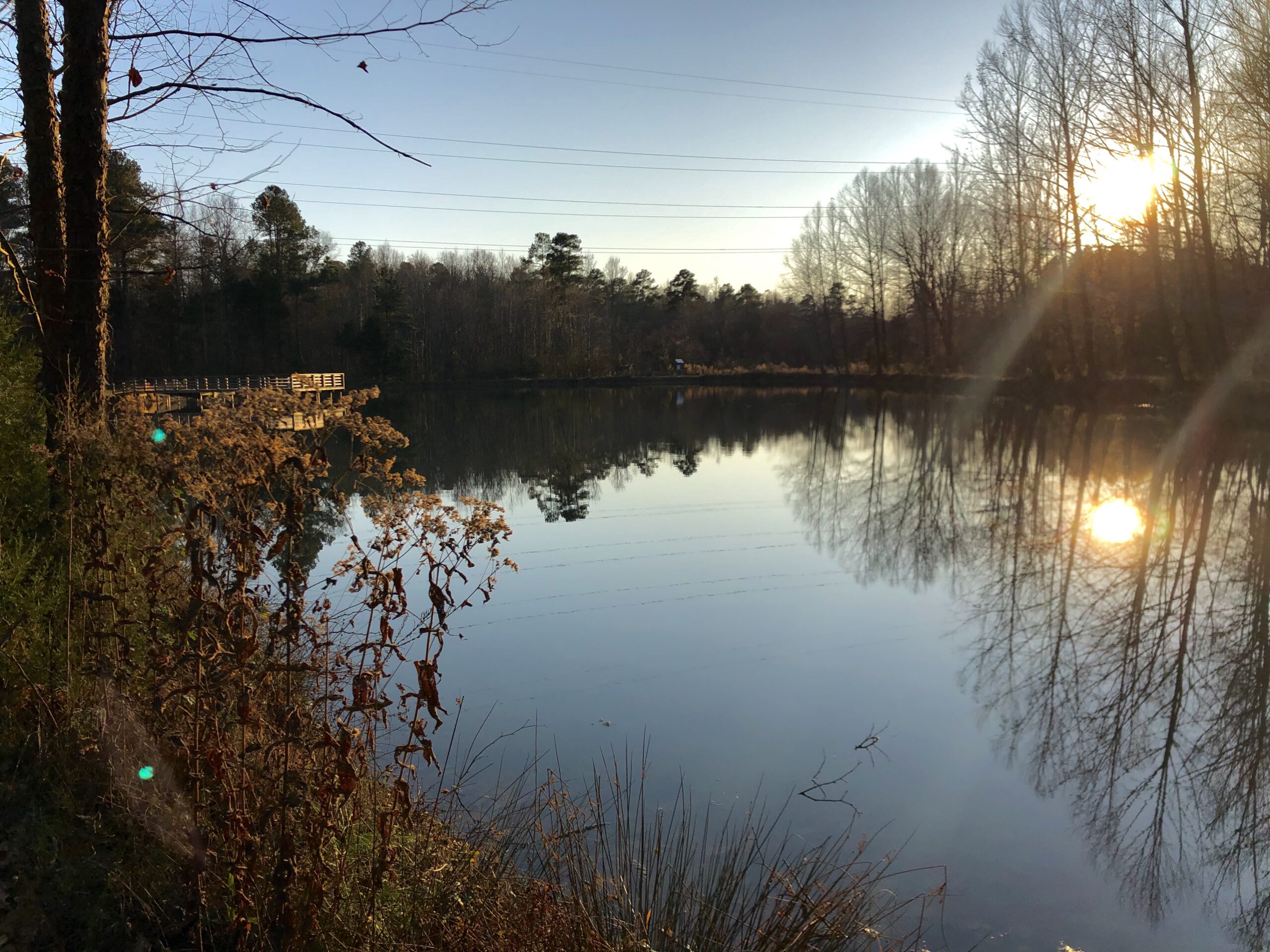 JenniferWeinberg South 2019 1 scaled