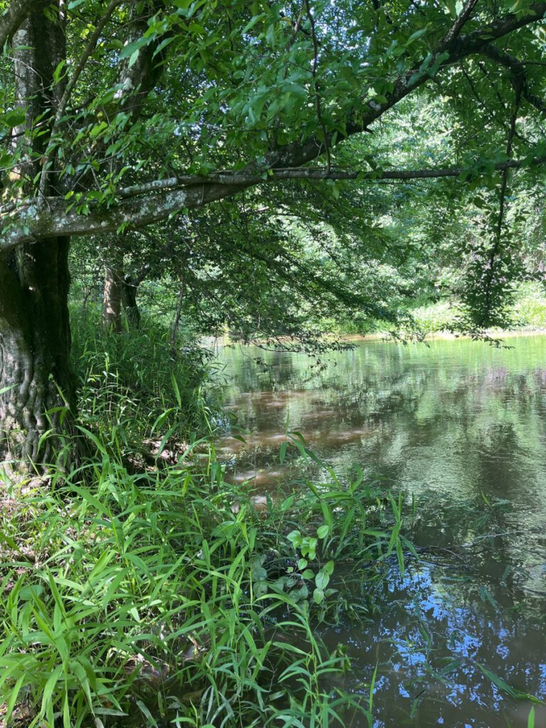 How Estate Planning Can Protect the Land You Love Little River 1