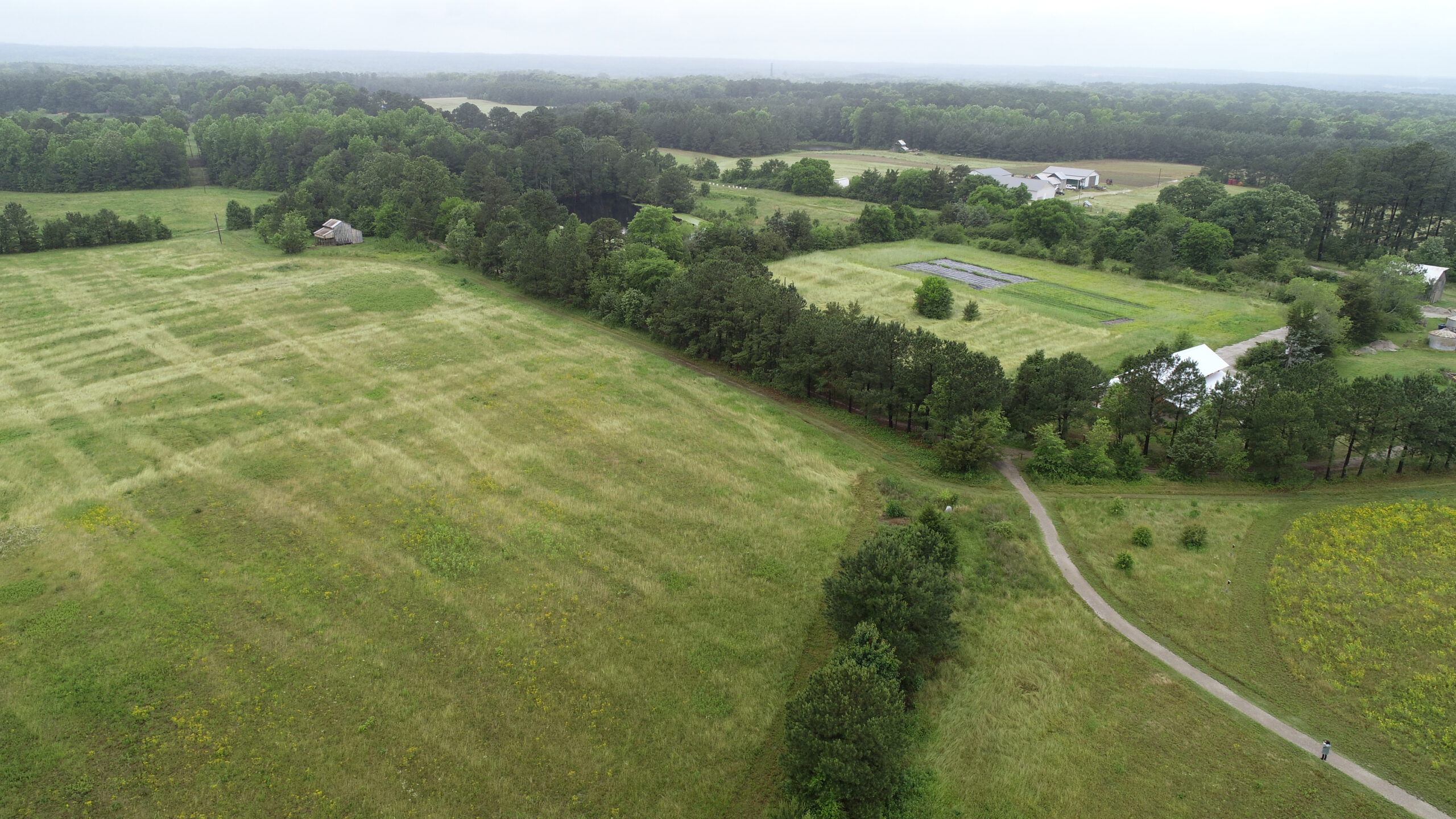 May2023 Farmland fields drone Williamson 1 scaled