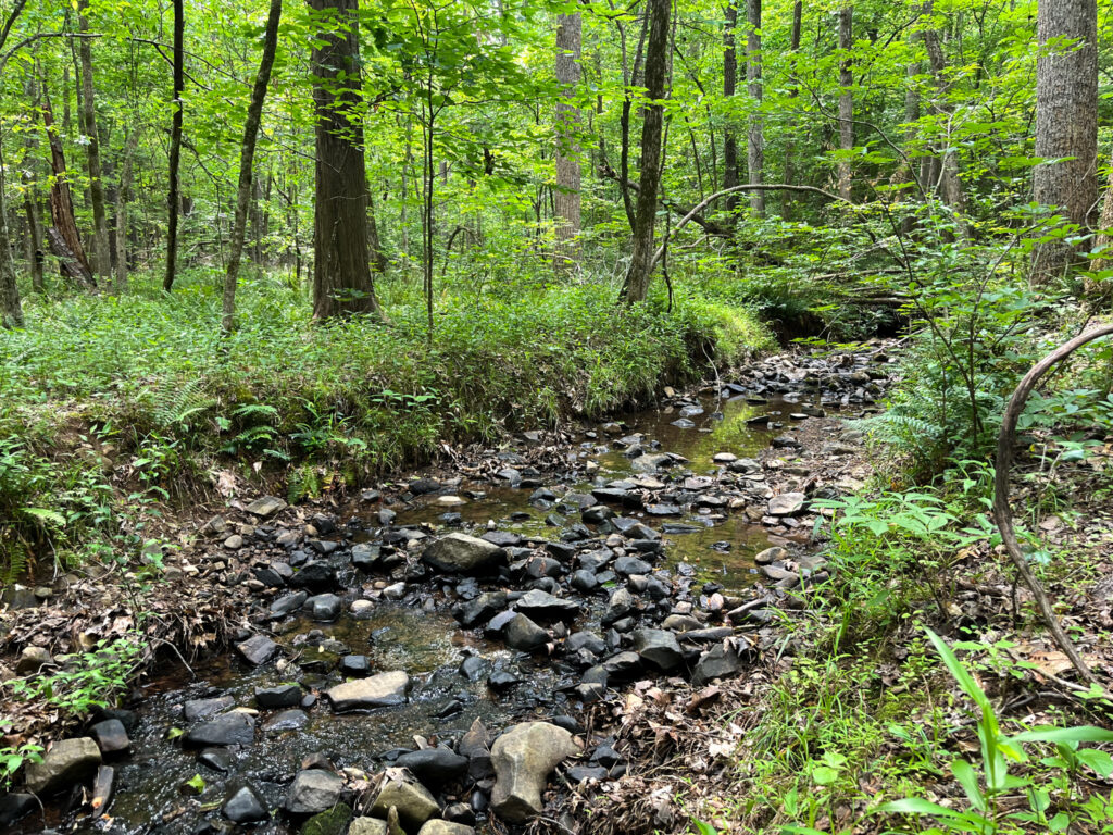 May23 FearringtonStream 2 1