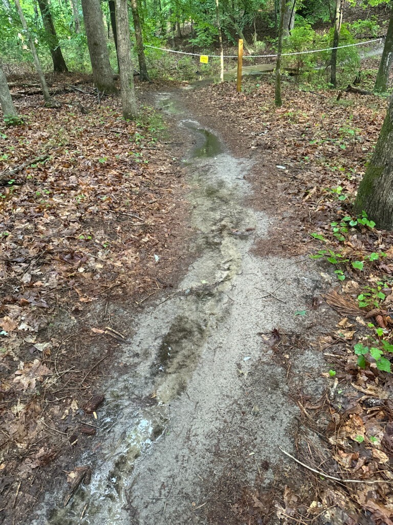 Muddy trails 1