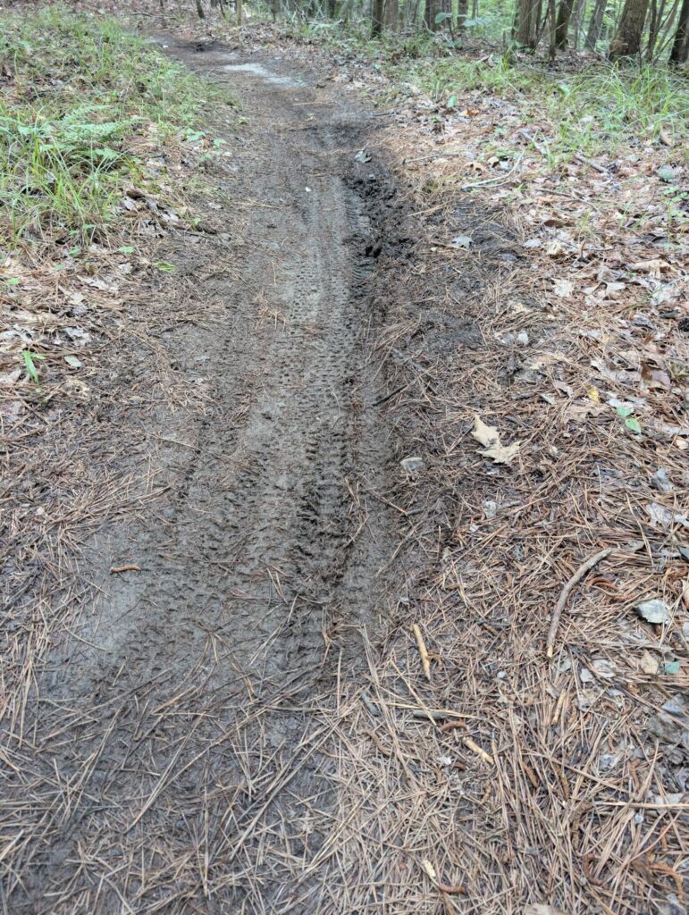 Muddy trails 2