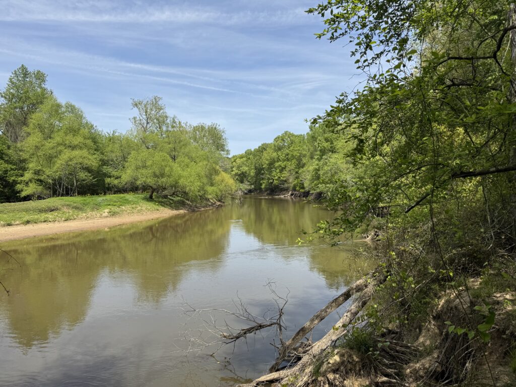 Neuse Islands Wilderness April 2026