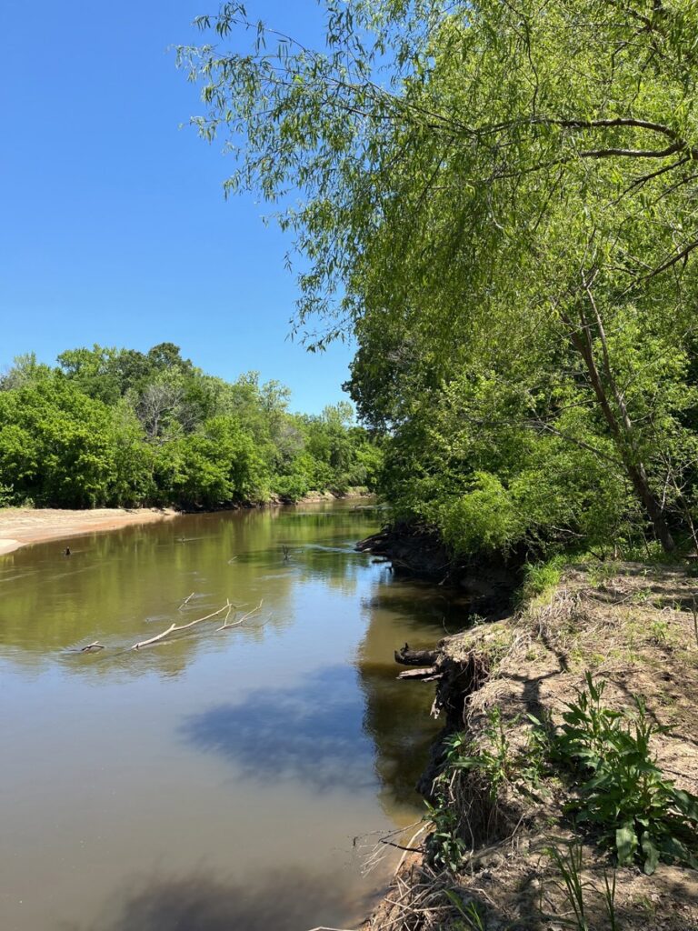 TLC Protects 602 Acres Along the Neuse River in Johnston County Neuse River Gar Gut Mashes