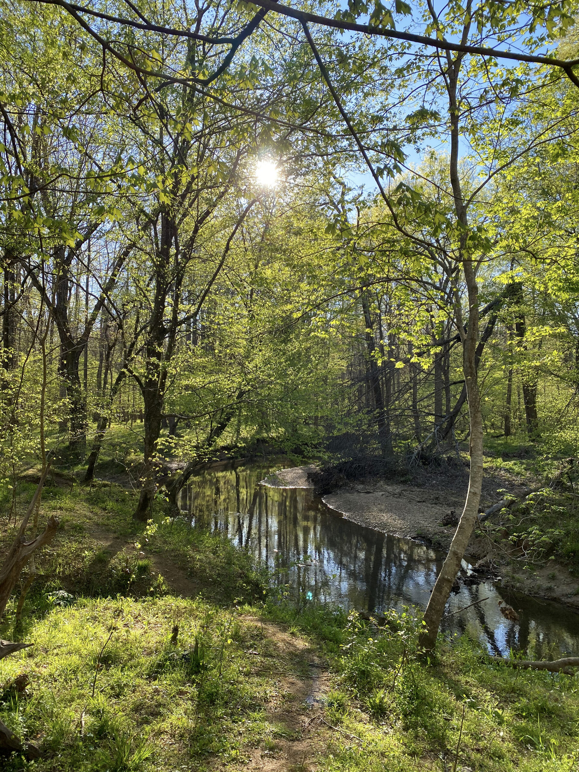TLC Gift Guide New Hope Creek 2 JMNP Emily Oglesby 1 scaled