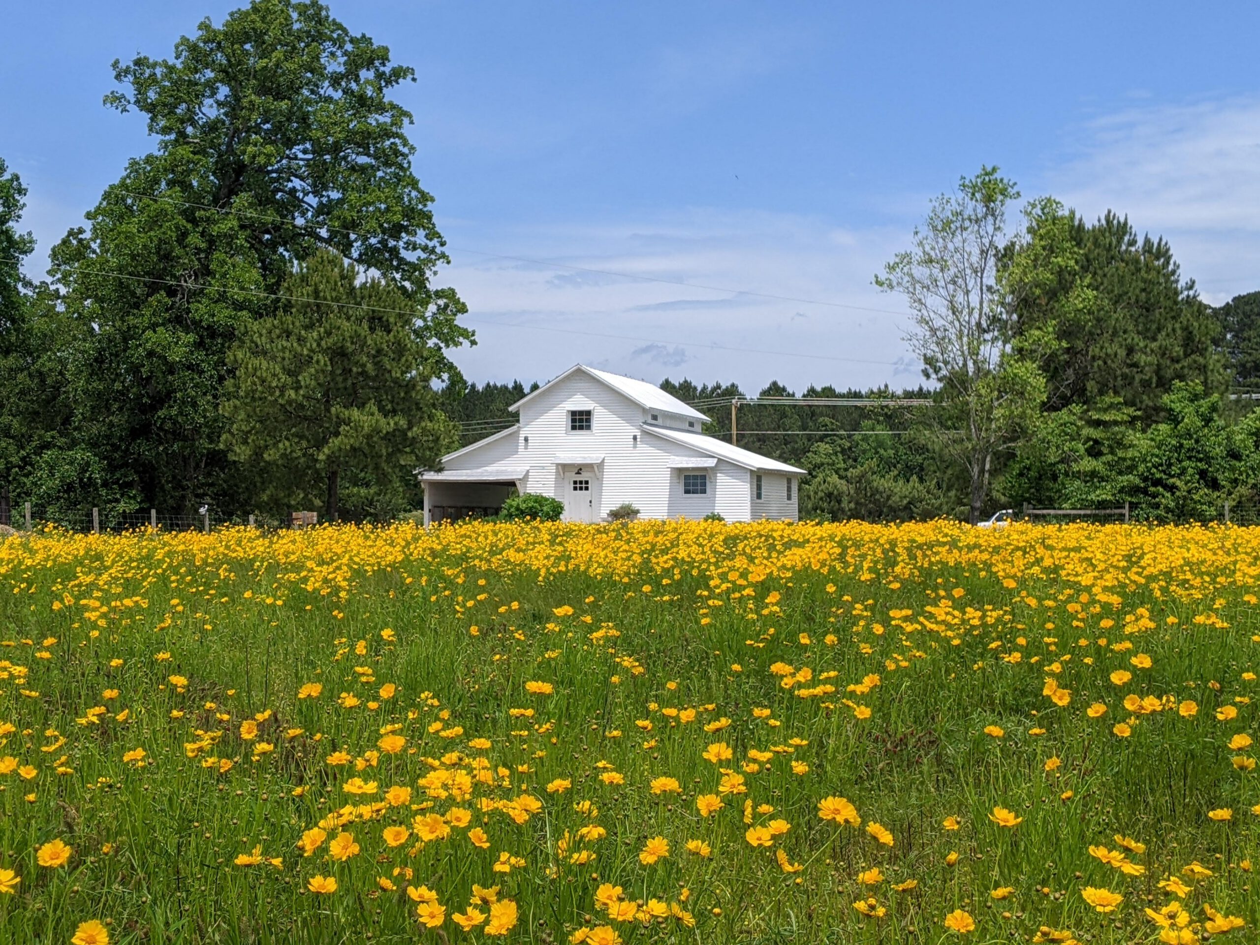 PXL 20230509 165020361 1 scaled