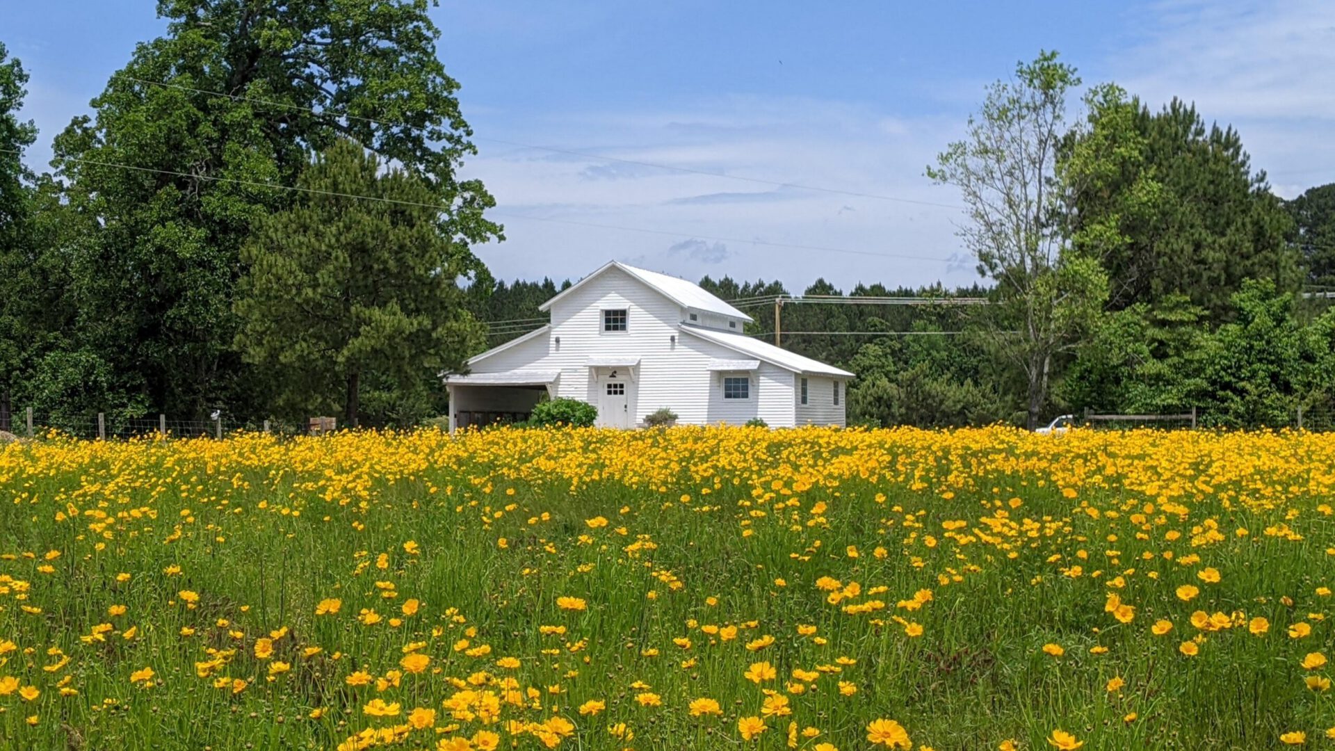 PXL 20230509 165020361 scaled 2