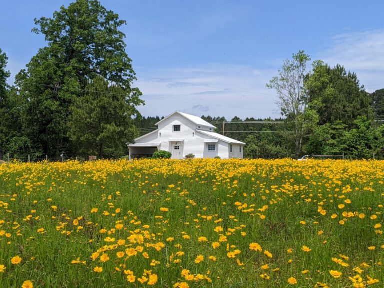 PXL 20230509 165020361 scaled 2