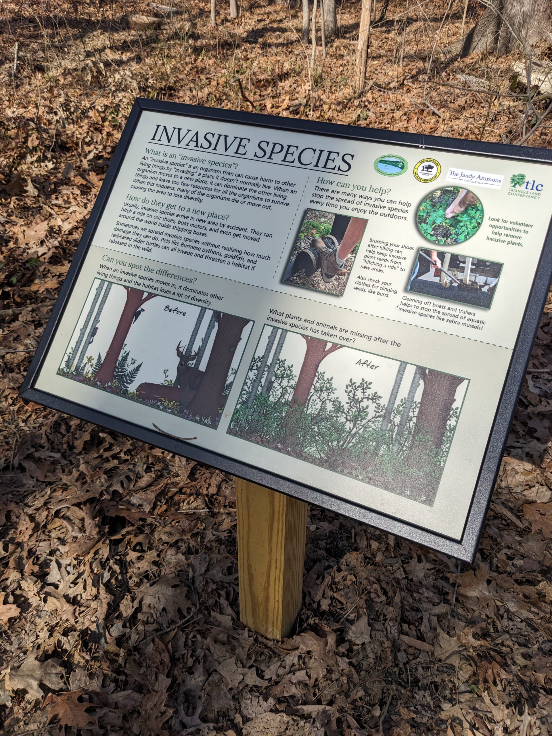 PXL 20240130 185544174 1 scaled