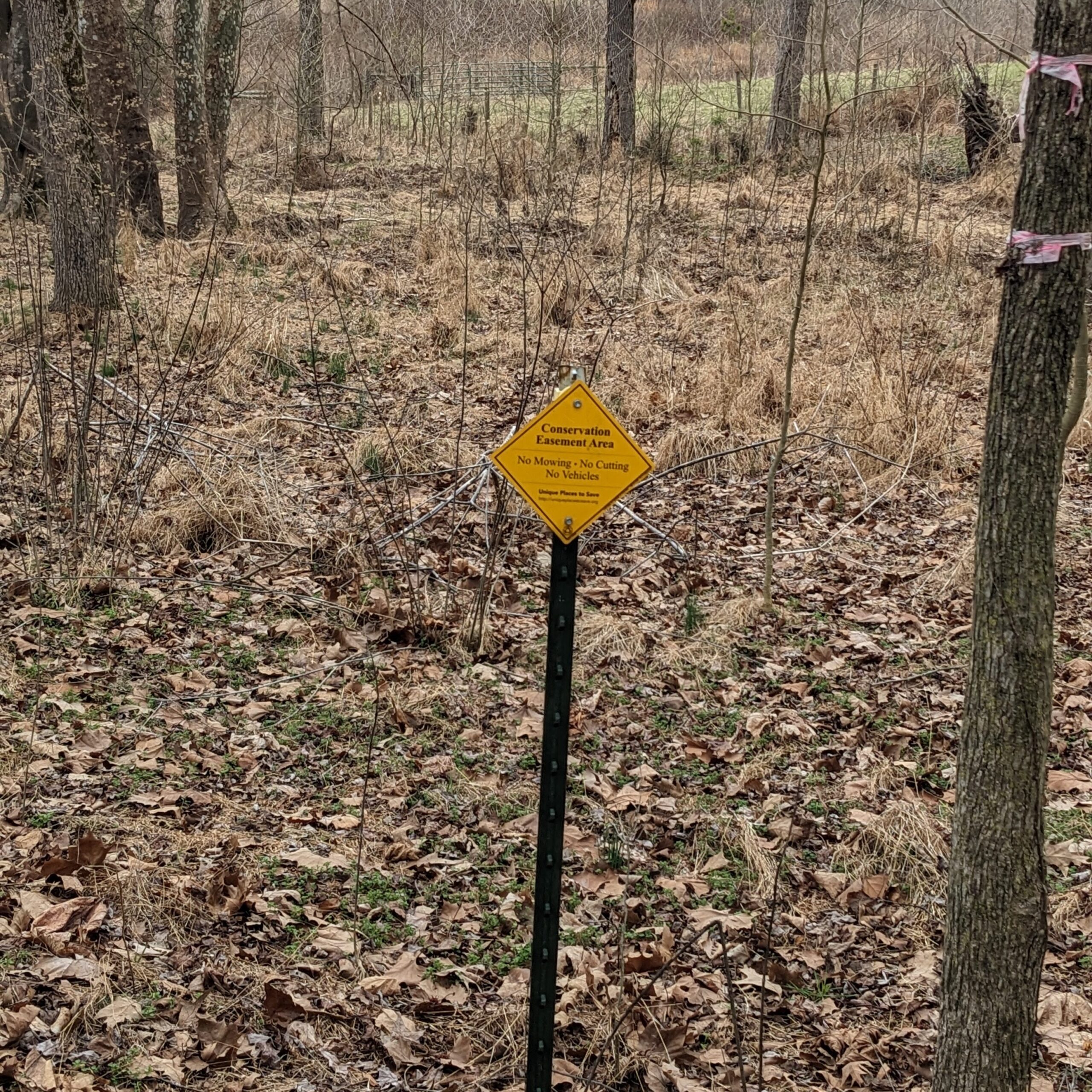 The Language of Conservation: Easements PXL 20240228 143755729 edited scaled 2