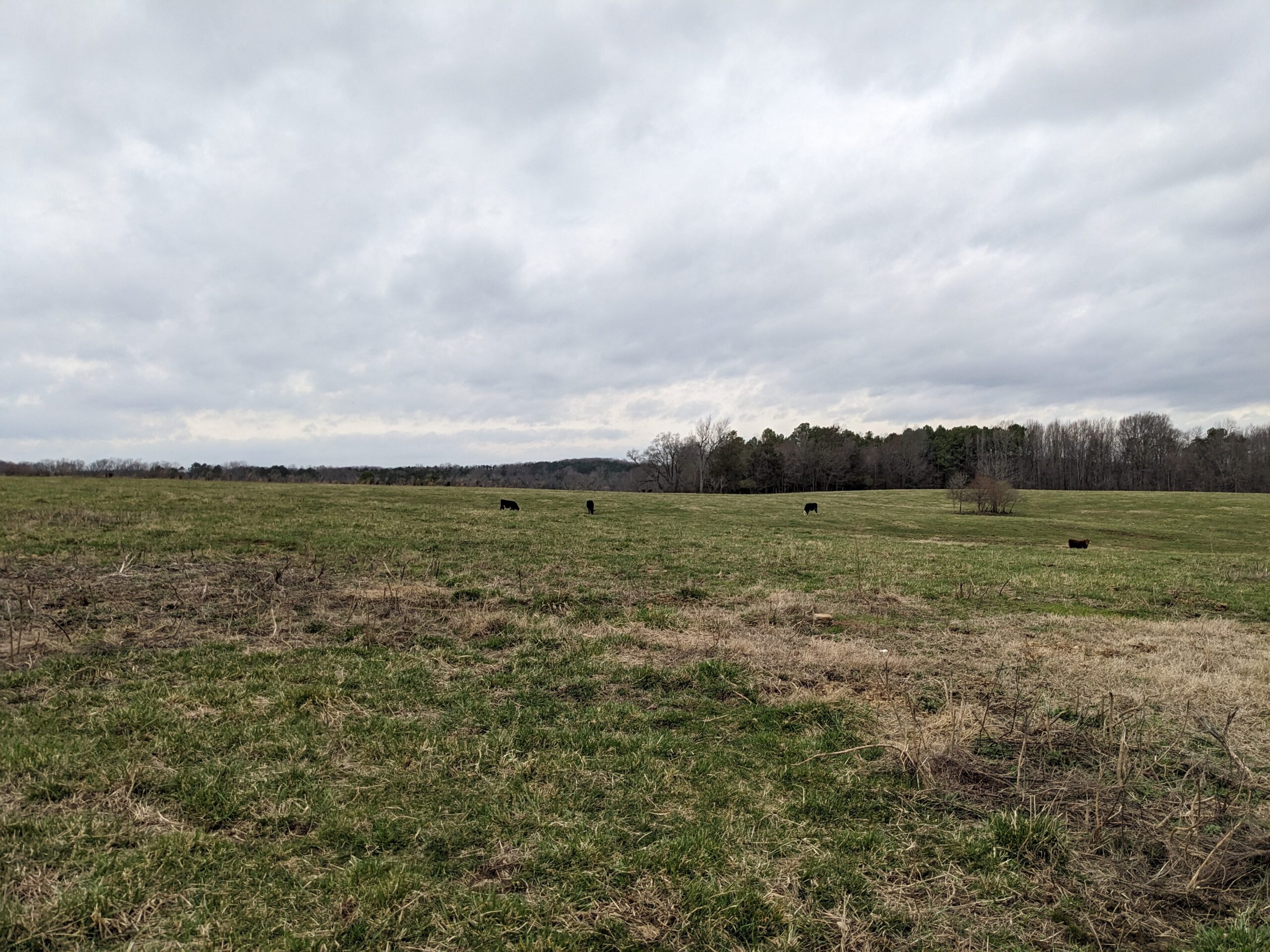 The Language of Conservation: Easements PXL 20240228 144526157 1 scaled