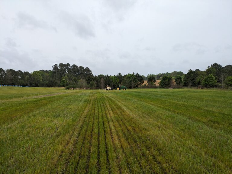 PXL 20240411 134553650 1