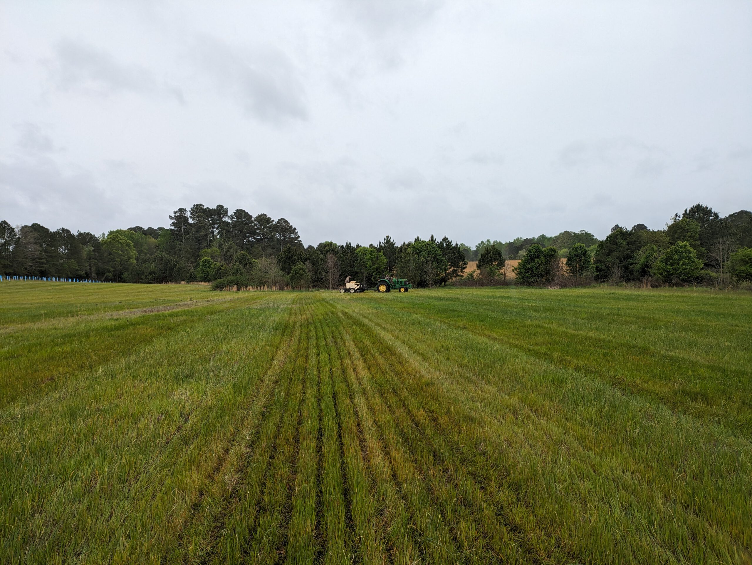 PXL 20240411 134553650 1 scaled