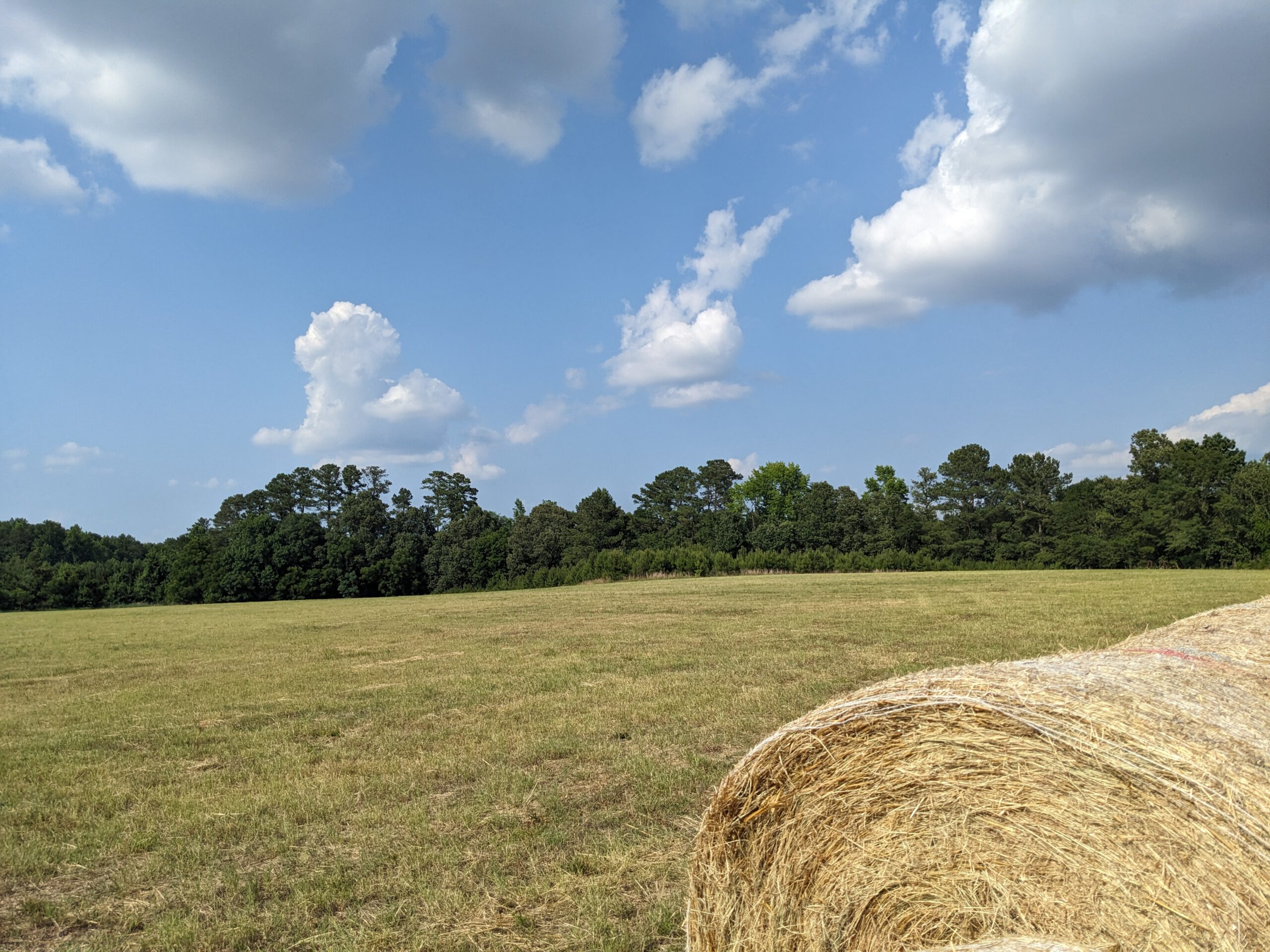 PXL 20240617 210939976 1 1 scaled