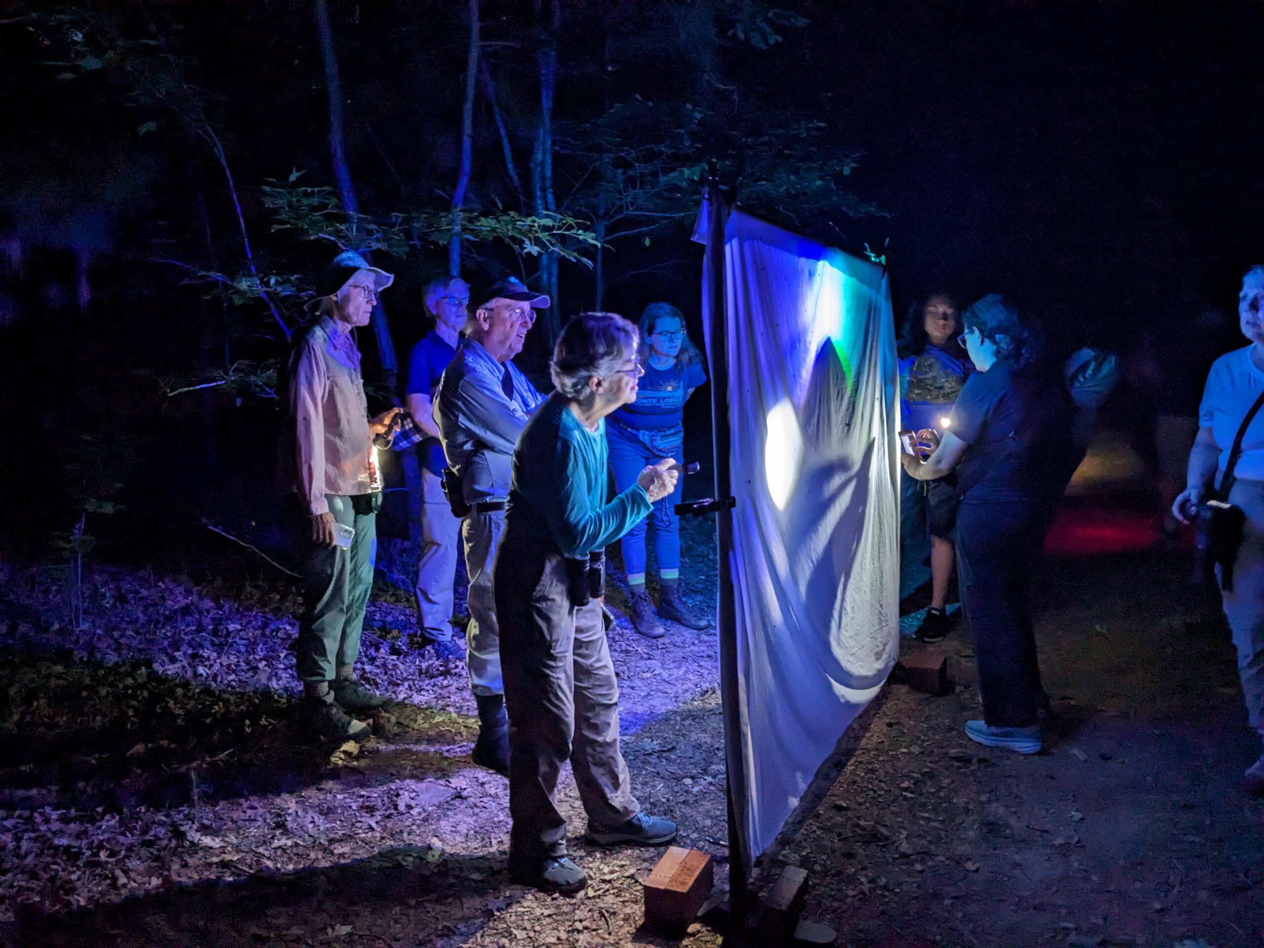 Moth Madness at Brumley Nature Preserve PXL 20240623 011957204 1 scaled