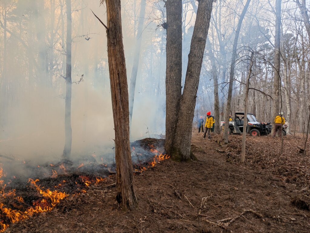 PXL 20260212 163733505 1