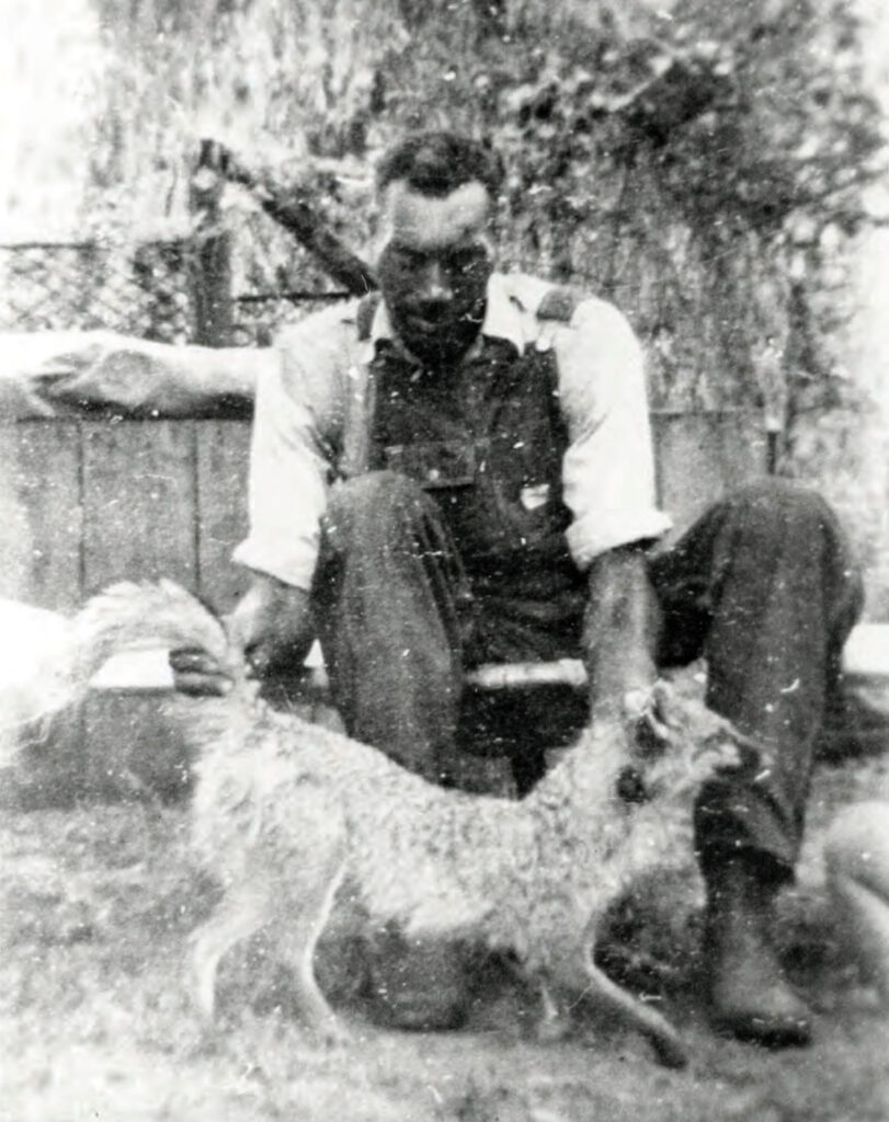 Peakes HortonGrove 1