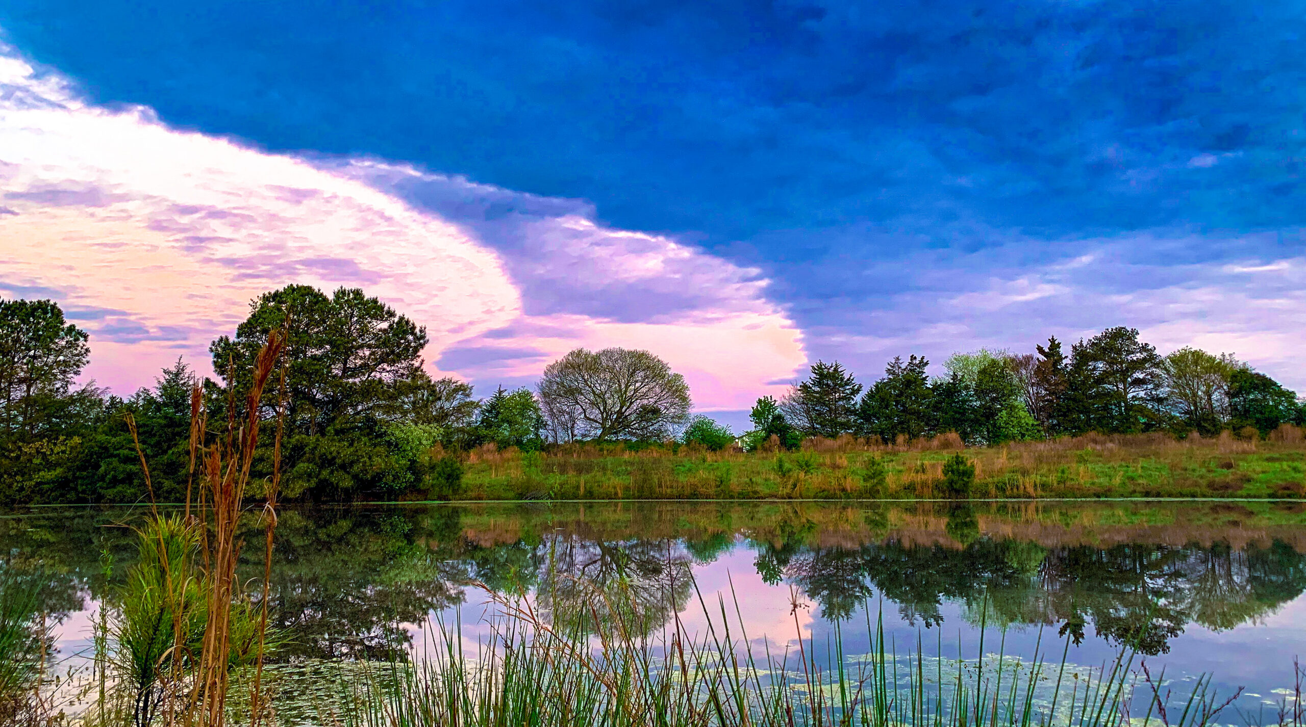 Photo Apr 10 6 44 37 AM 1 scaled