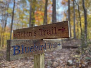 Photo Nov 12 1 36 41 PM 1