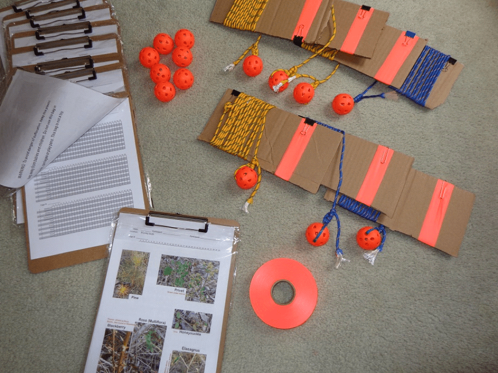 Brumley South, Plant Species Data Collection Day - First Pass Picture1222 1