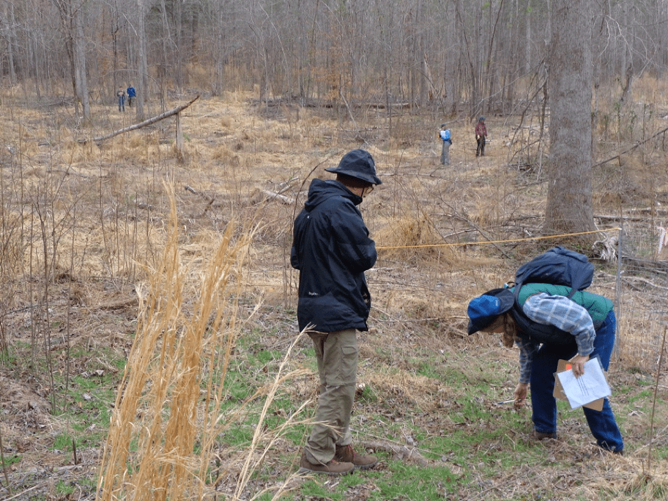 Brumley South, Plant Species Data Collection Day - First Pass Picture1333 1