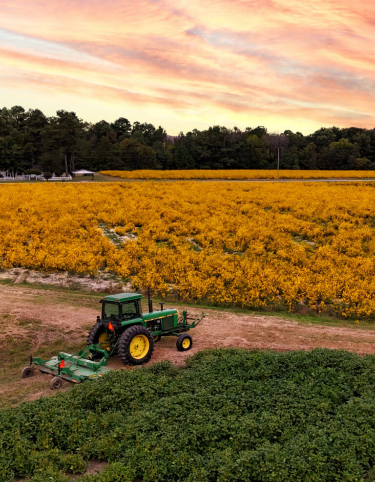 Rose Dairy Johnston County field with tractor scaled e1792094454771