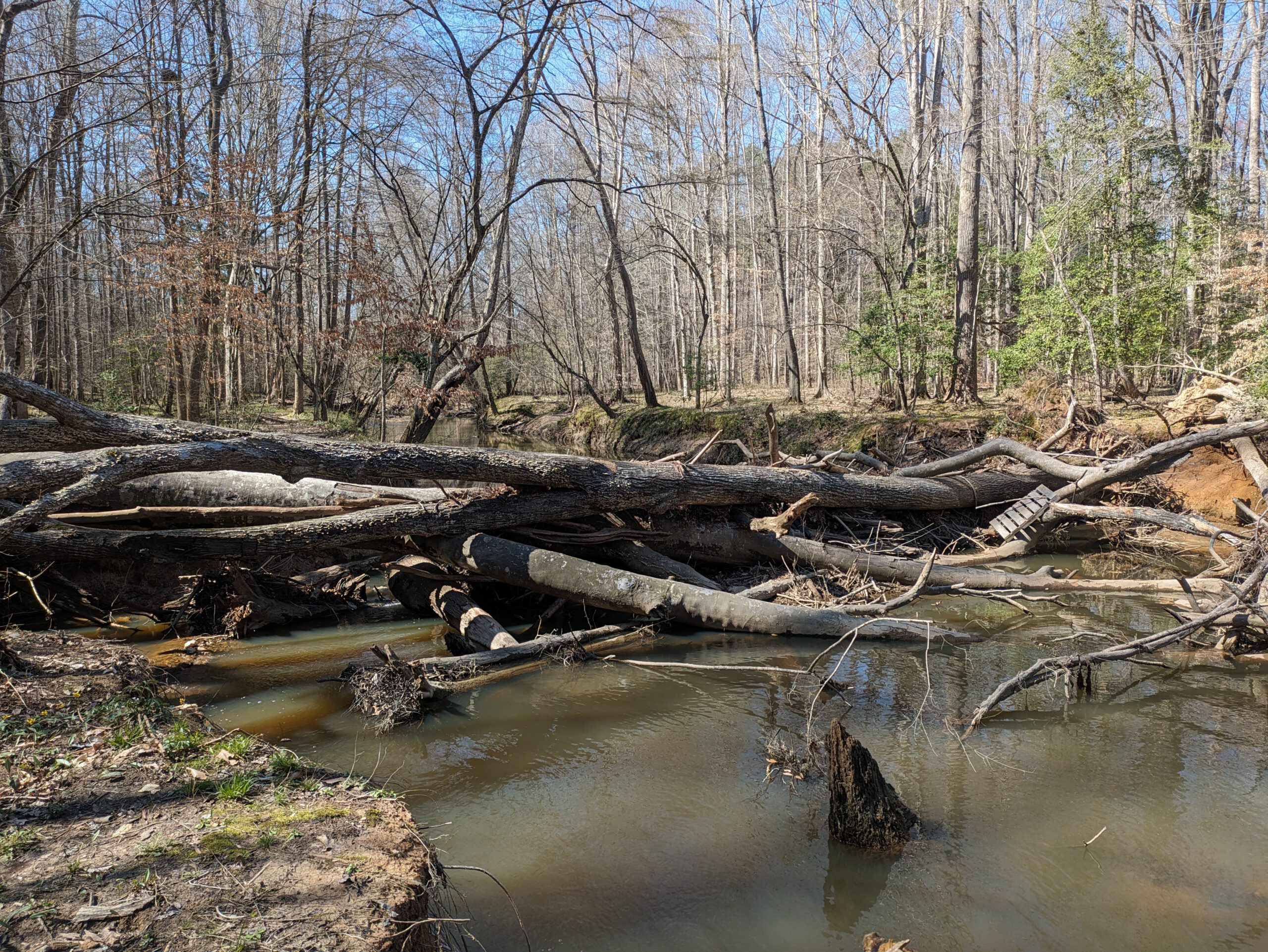 SCB Stream Obstruction 3 13 24 1 scaled