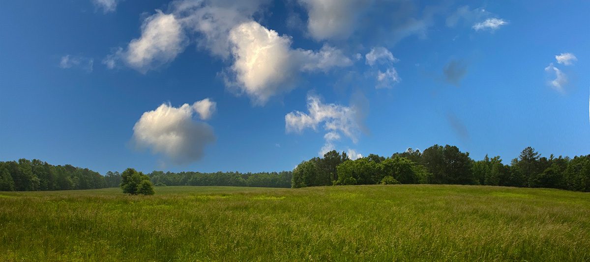 SQD 3126 e1656365093190 1