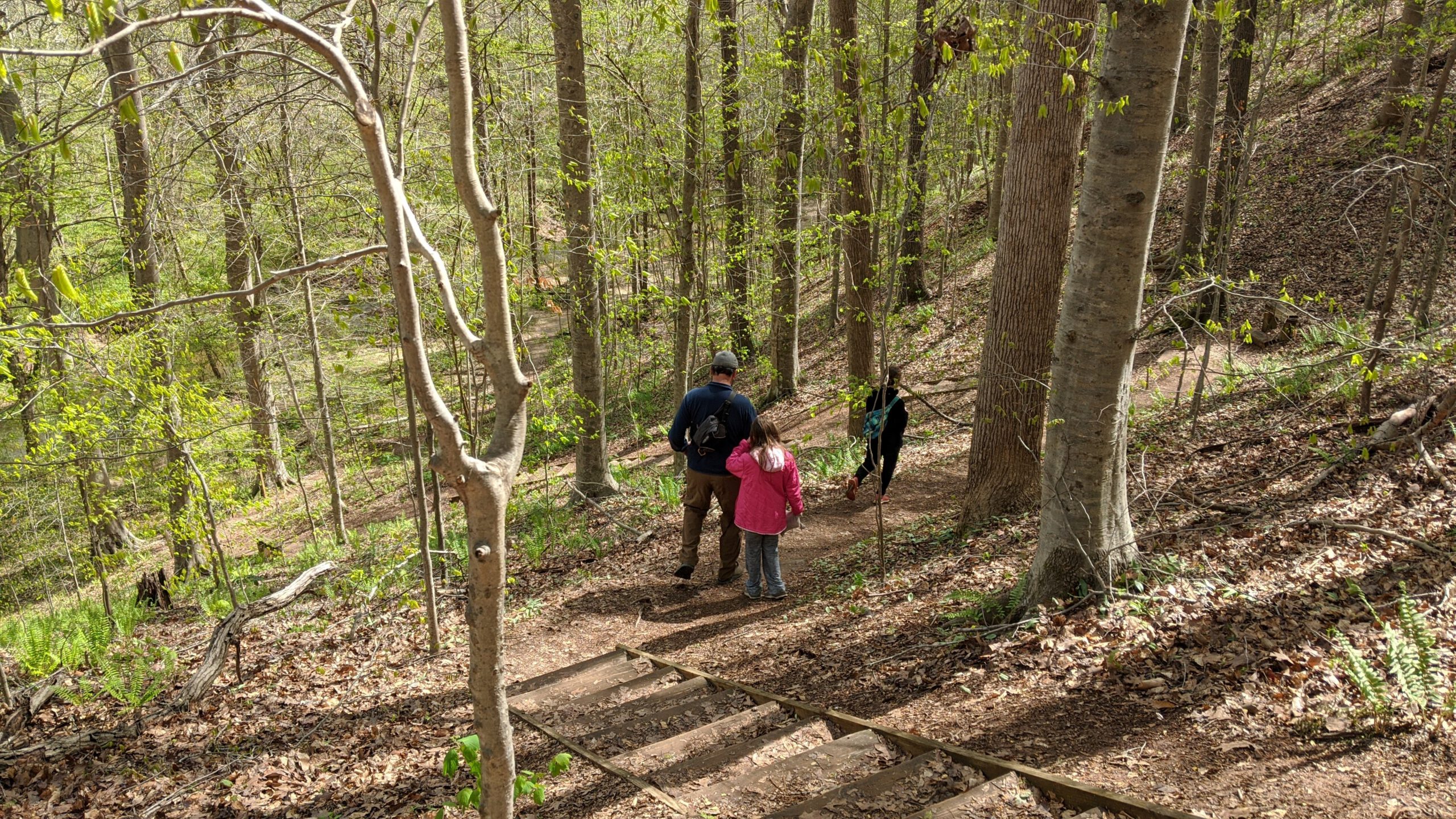 Tour the Triangle on These Favorite TLC Trails SWB CWilson StairwaytoHeaven 1 scaled