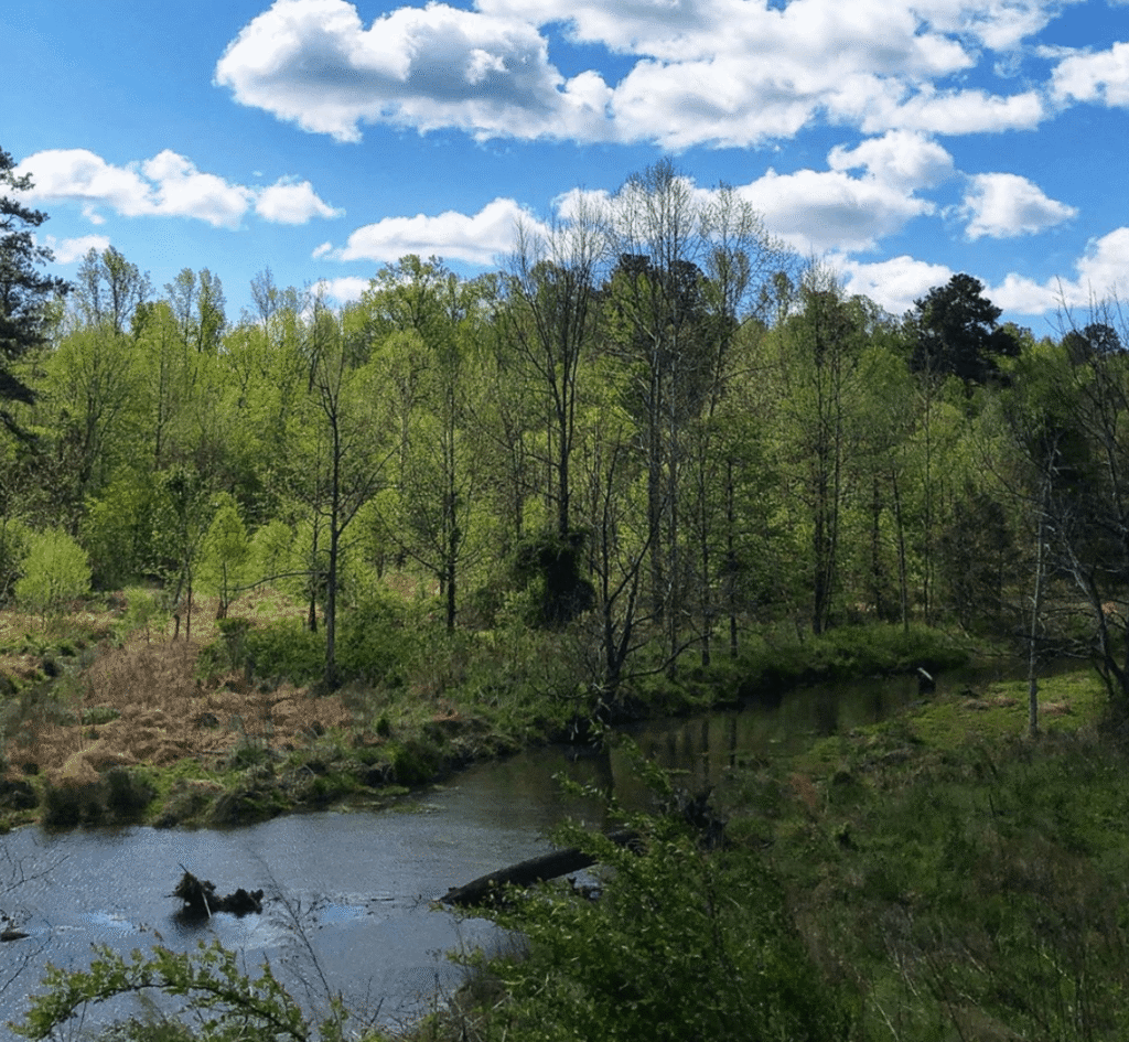 Screen Shot 2020 04 28 at 2.00.32 PM 1