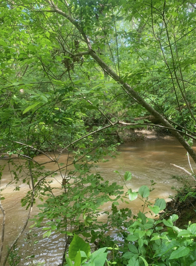 Screen Shot 2020 05 15 at 5.04.10 PM 1