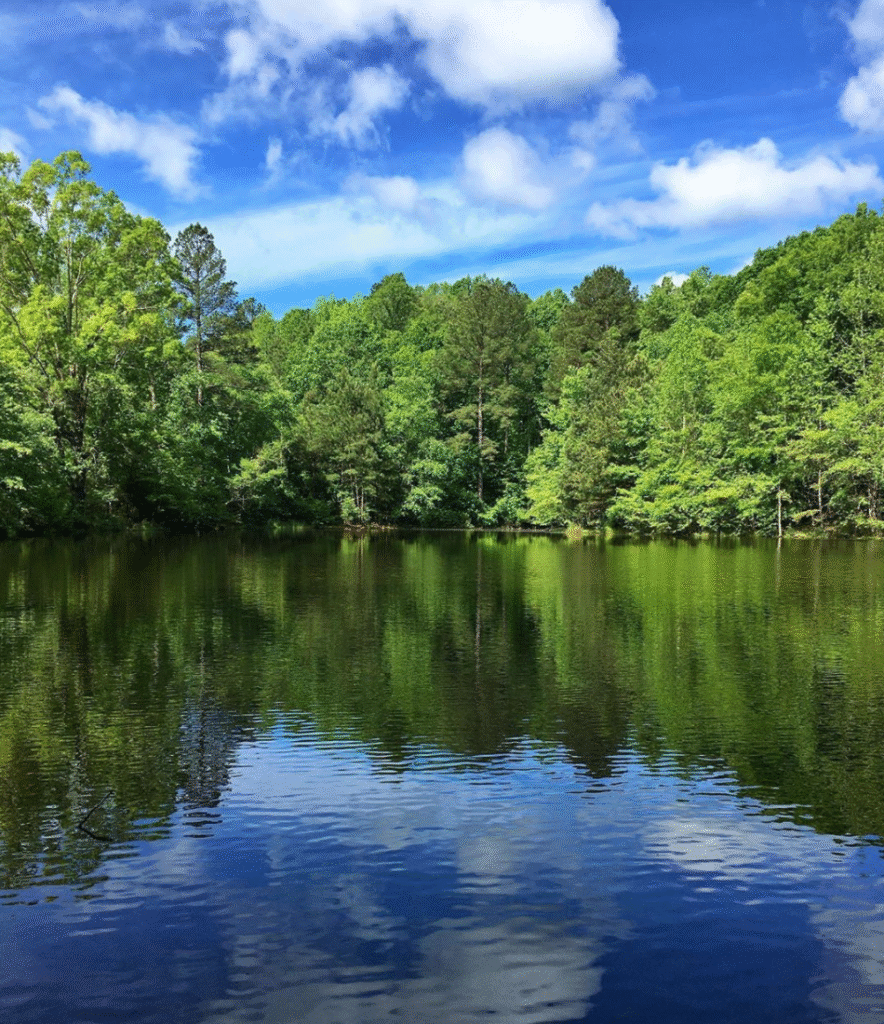 Screen Shot 2020 05 29 at 1.37.59 PM 1