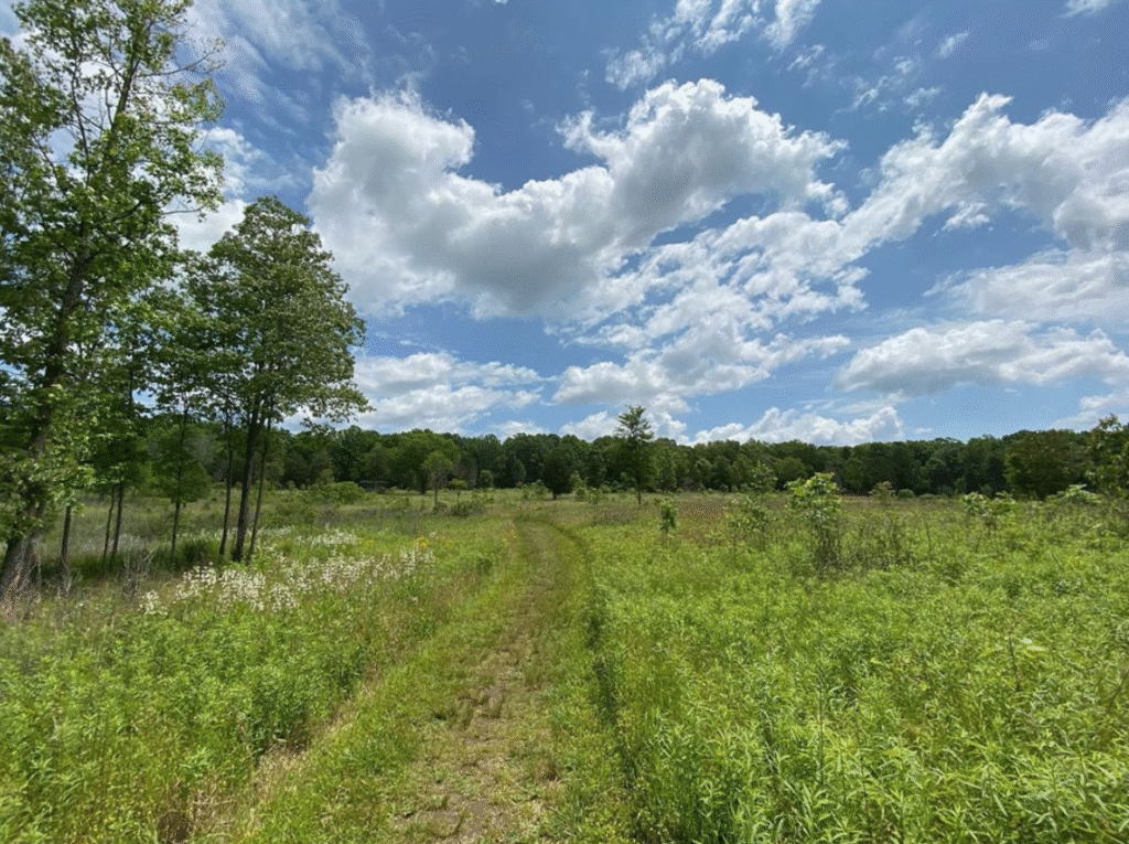 Screen Shot 2020 05 29 at 1.38.09 PM 1