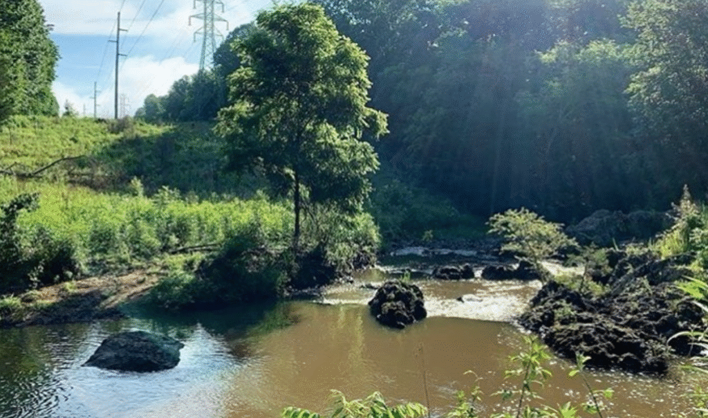 Screen Shot 2020 06 30 at 5.01.52 PM 1