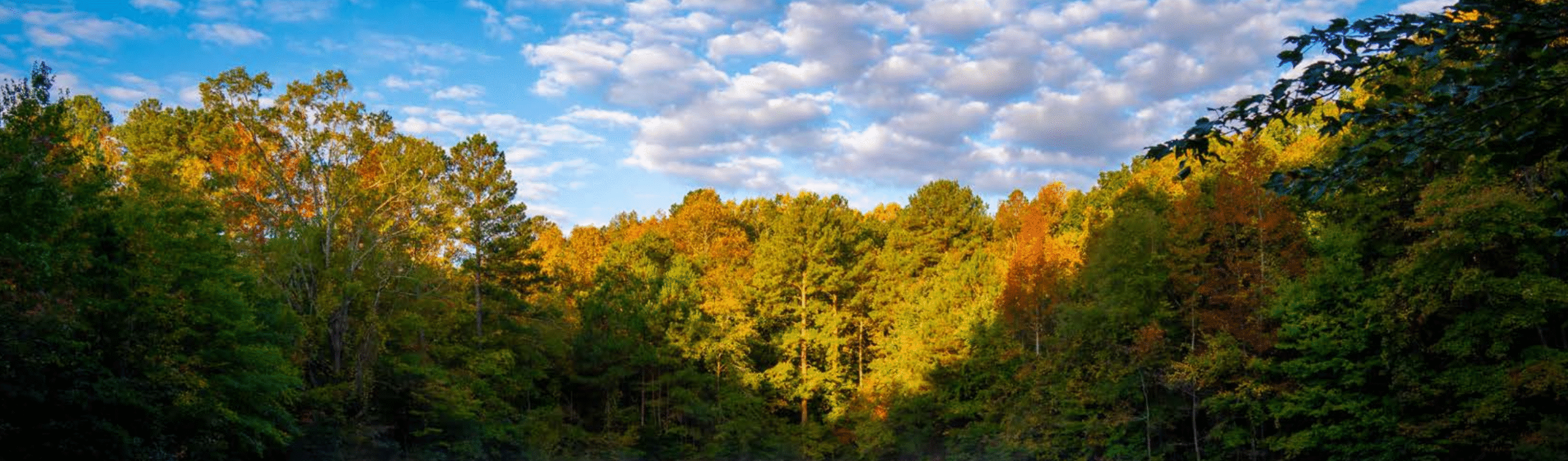 TLC At 40: A Rich History and a Vibrant Future Screenshot 2023 05 02 at 4.45.37 PM 1 scaled