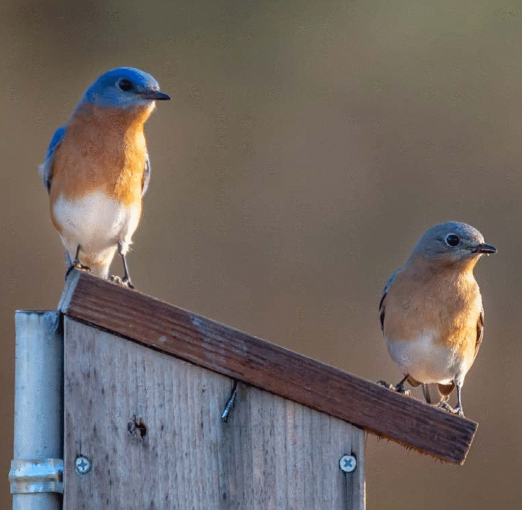 TLC At 40: A Rich History and a Vibrant Future Screenshot 2023 05 02 at 4.49.03 PM 1