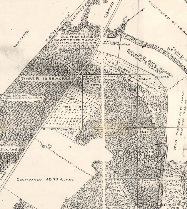 Stackhouse Map Rice Sloughs