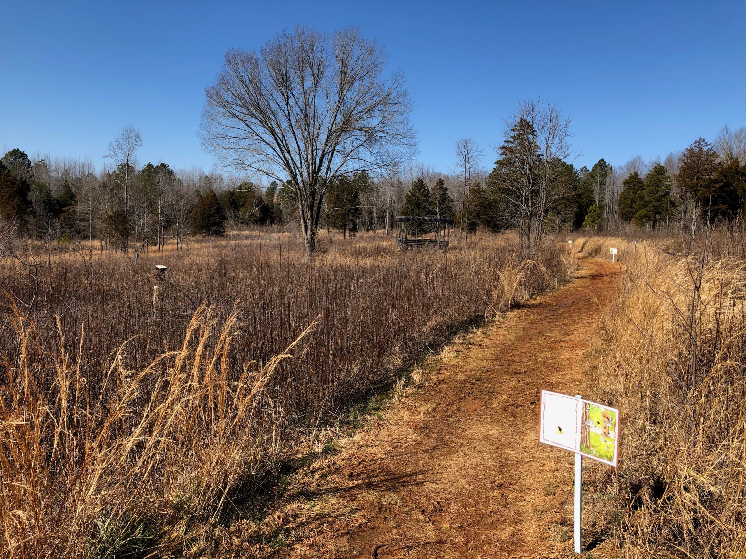 Story walk 2 1 scaled