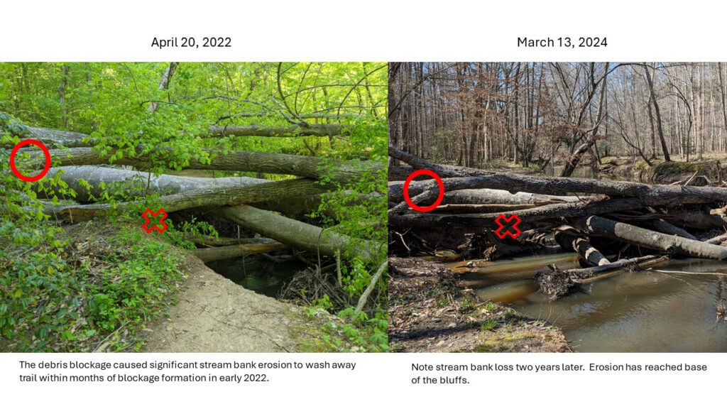 Swift Creek Stream Bank Loss Example 1