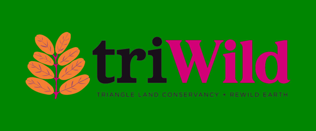 TriWildTLCReWildLogoColor 1