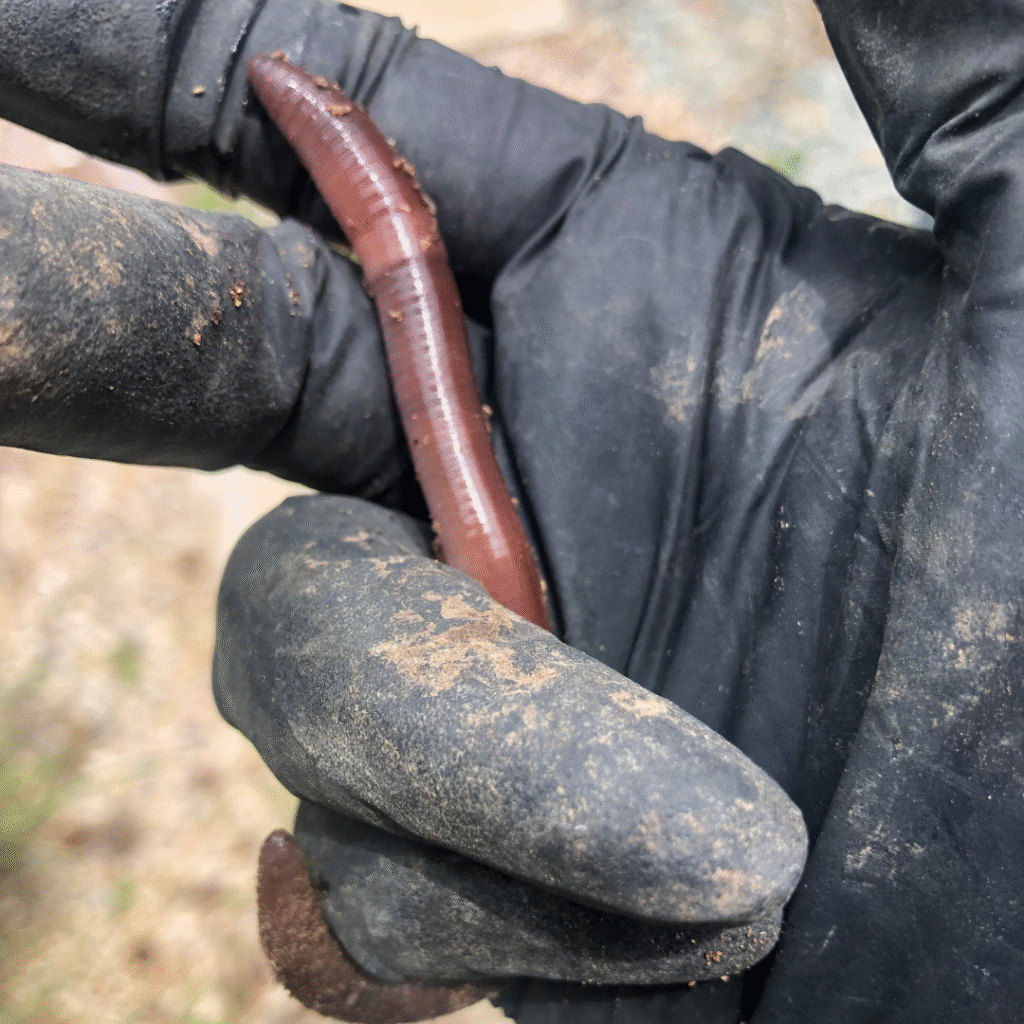 Untitled design 14 1