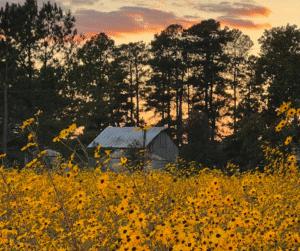 Untitled design 54 1