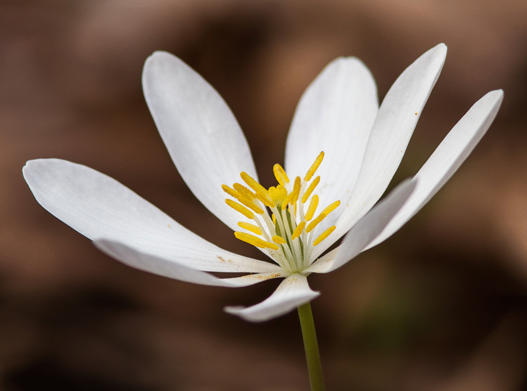 Untitled design 8 1 1