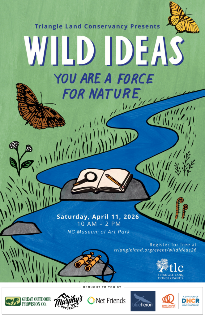 Wild Ideas Untitled design 81