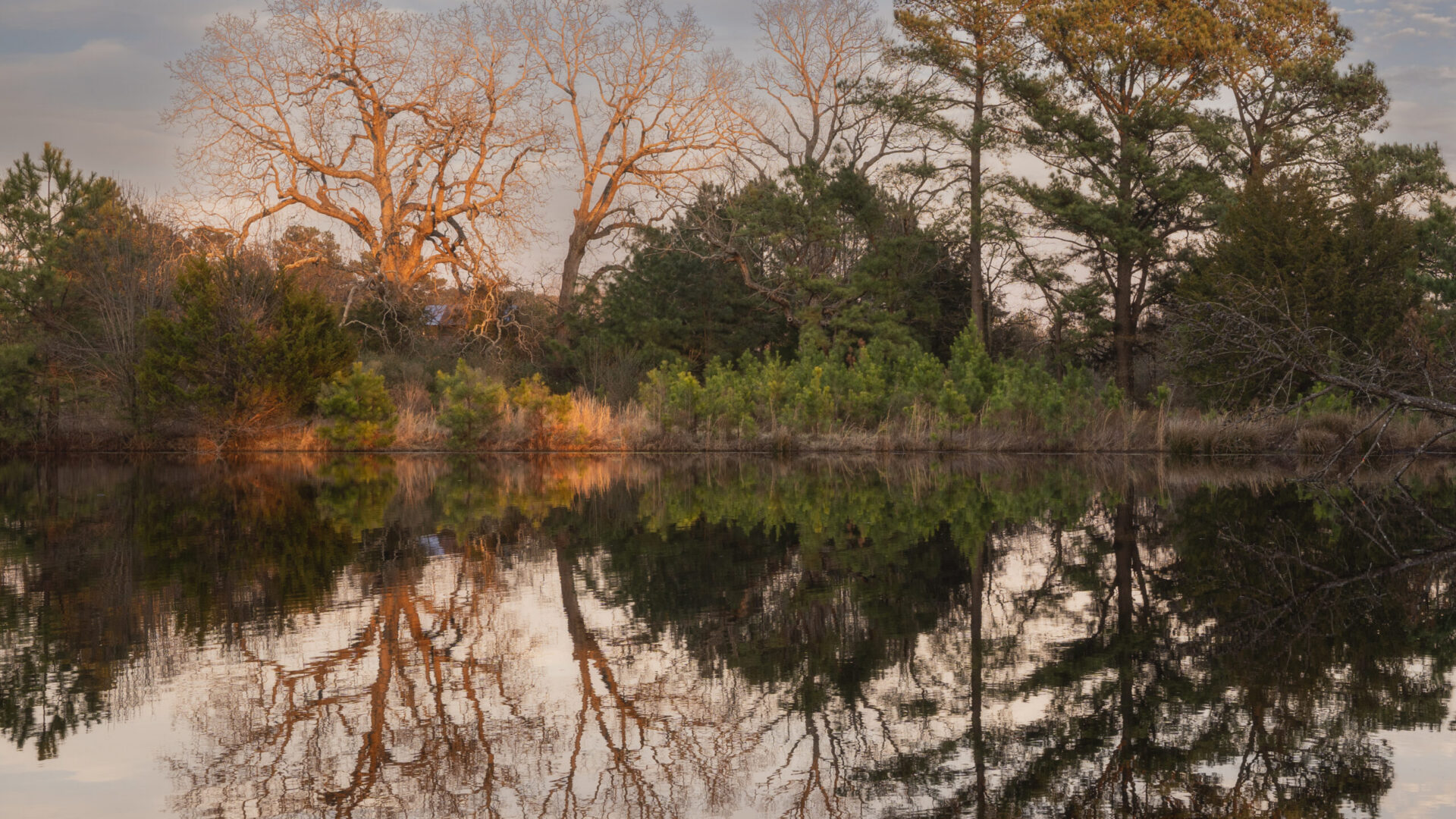 WNP Jenn Burnell 1 scaled 2