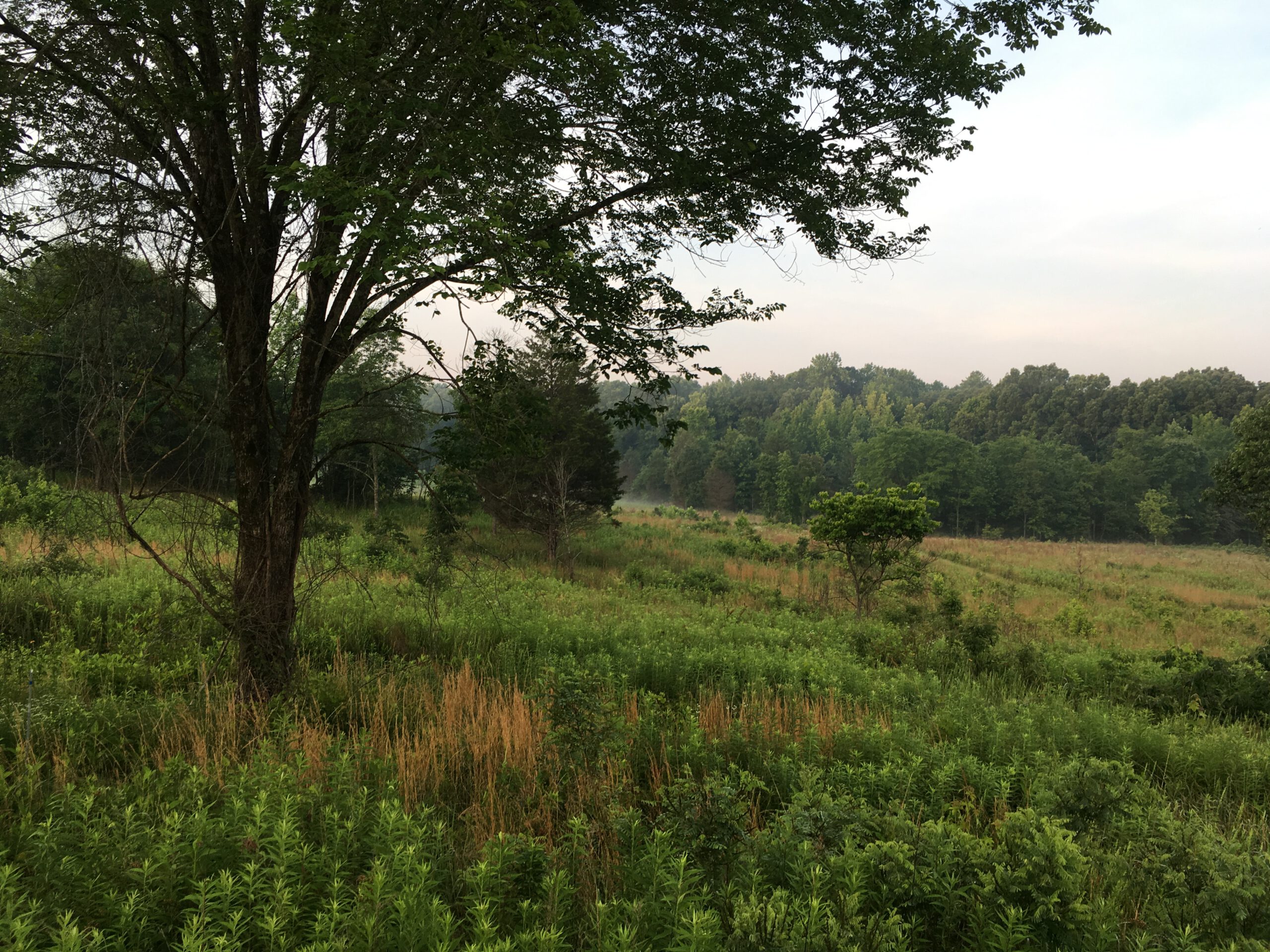 Sharing your #HikeTLC experiences Walters iPhone SE backup 772020 152 1 scaled